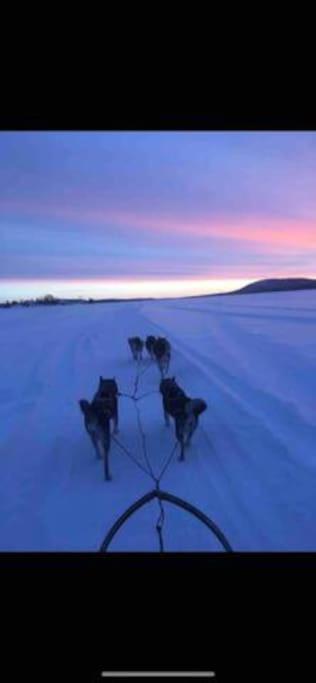 Northern Light Huts - Paradise Lapland Kiruna Exterior foto